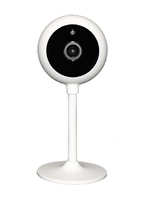 IP-видеокамера Wi-Fi iШар Плюс - Охранные системы РЕАЛ - Екатеринбург